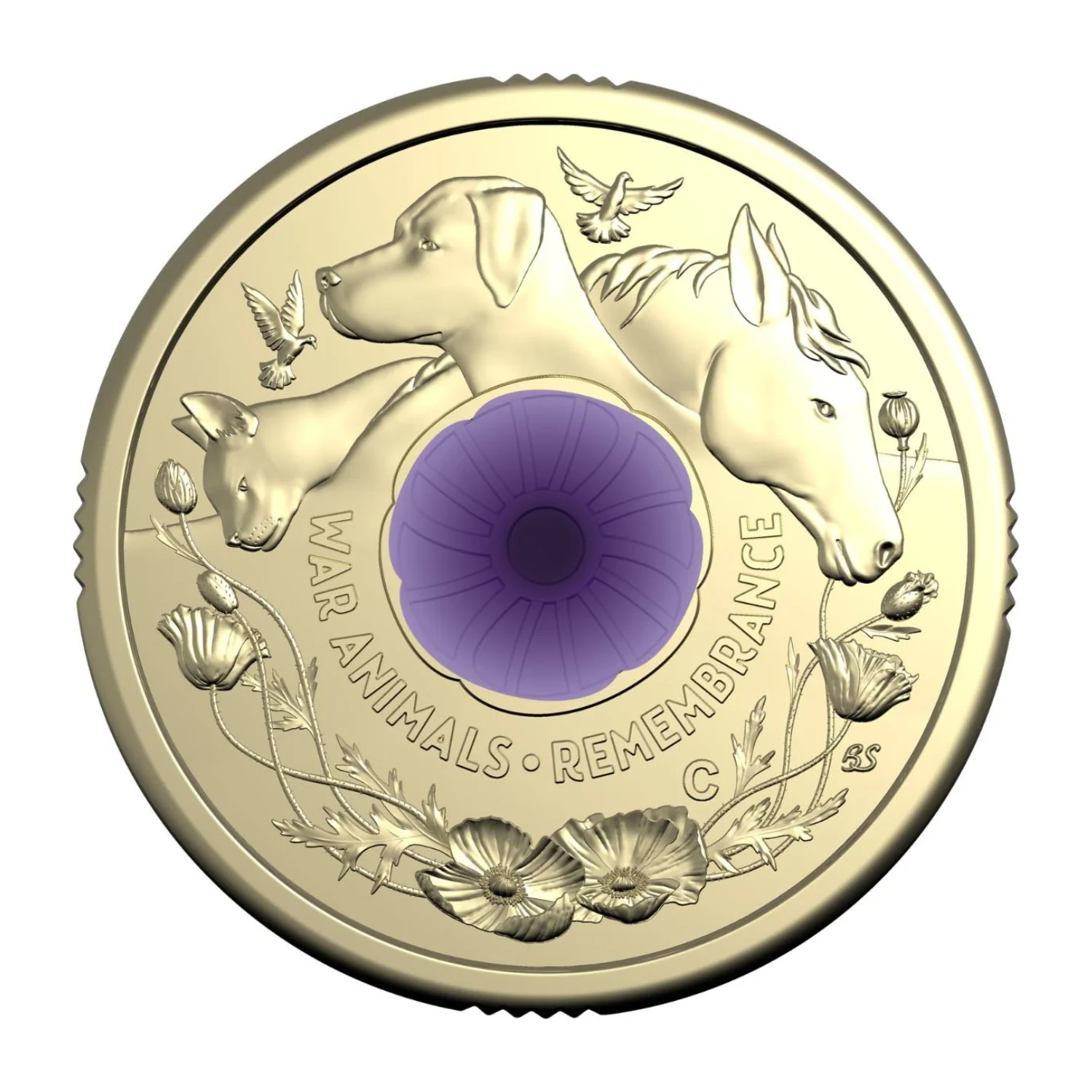 Australia War Animals Remembrance 2024 $2 C Mintmark Colour Aluminium-Bronze Uncirculated Coin - Image 2