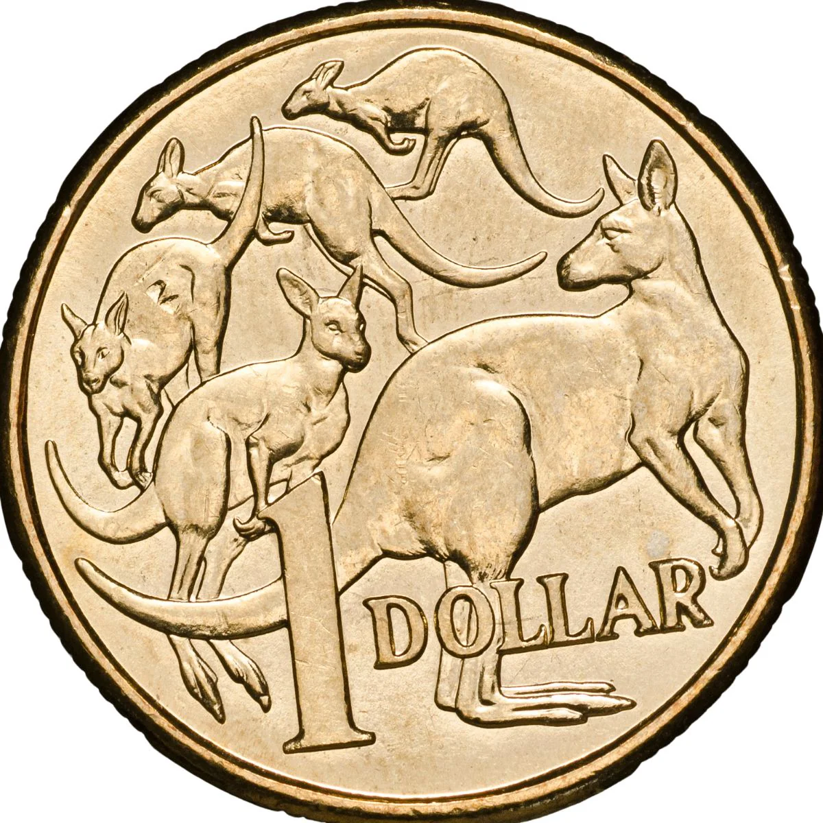Australia 50th Anniversary Decimal Changeover 2016 $1 C Counterstamp Aluminium-Bronze Uncirculated Coin - Image 2