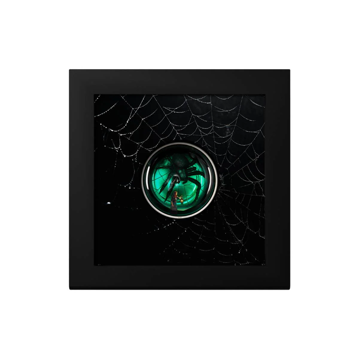 Arachnophobia 2025 $10 Enamel 2oz Silver Proof Coin - Image 4