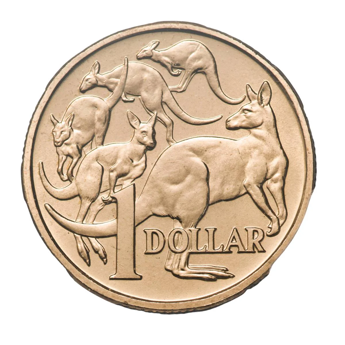 Australia 2000 $1 Mob of Roos Aluminium-Bronze Coin PCGS MS67 (Gem Uncirculated) - Image 3