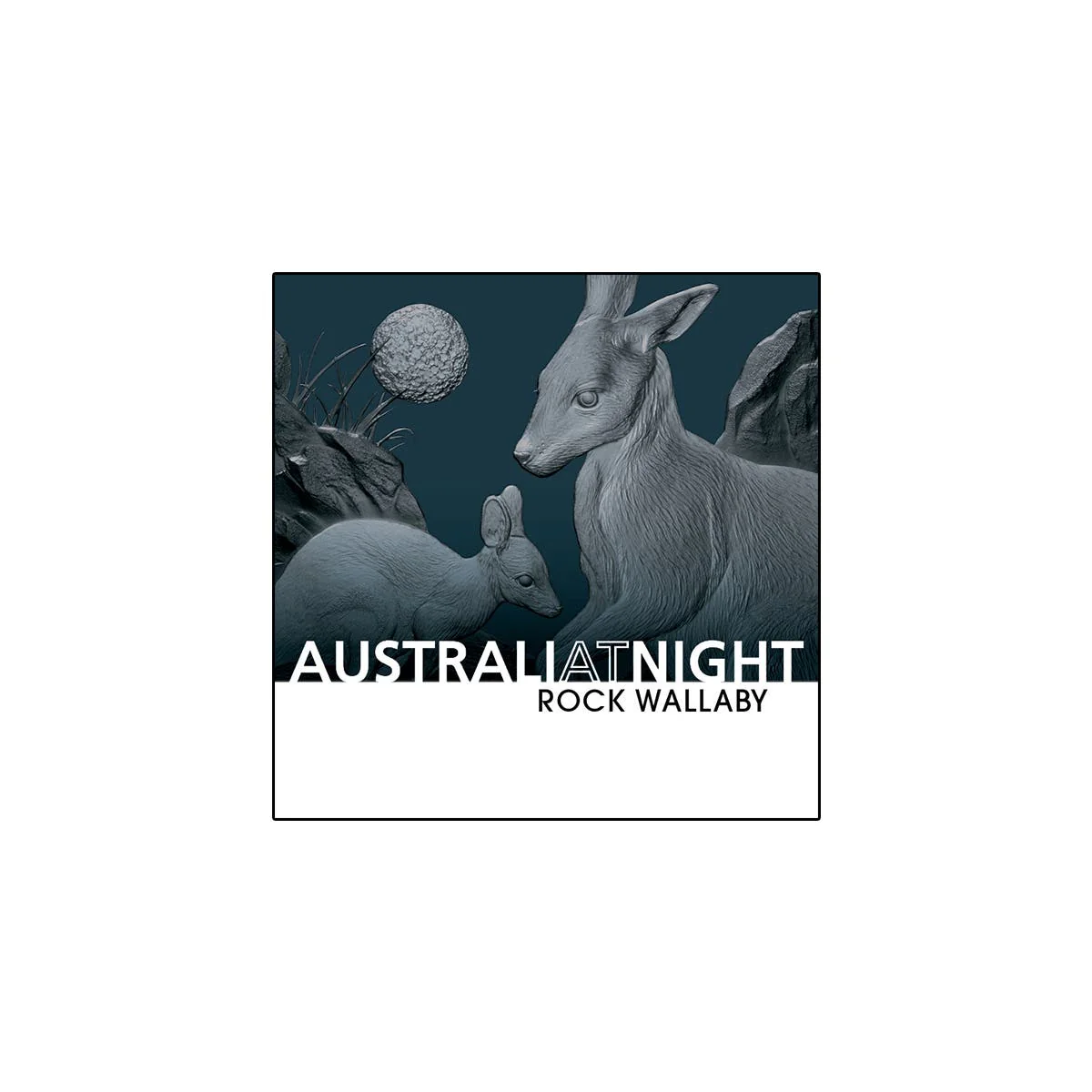 Australia at Night 2024 $1 Rock Wallaby 1oz Silver Black Proof Coin - Image 5
