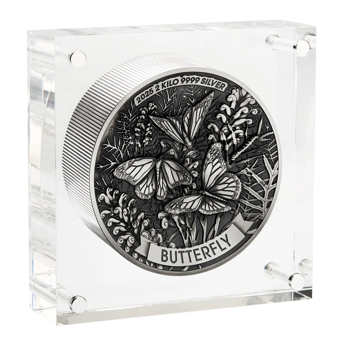 Australia Butterfly 2025 $60 2 Kilo Silver Antique Coin - Image 5
