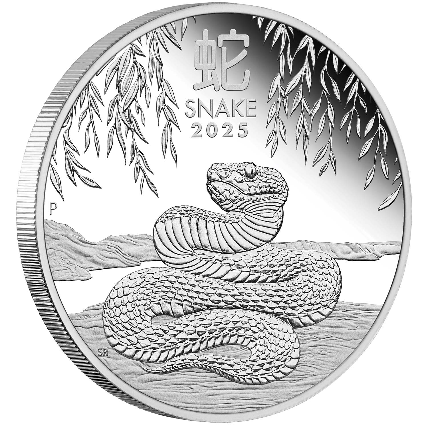 Australia Lunar Year of the Snake 2025 $1 1oz Silver 3-Coin Set - Image 4