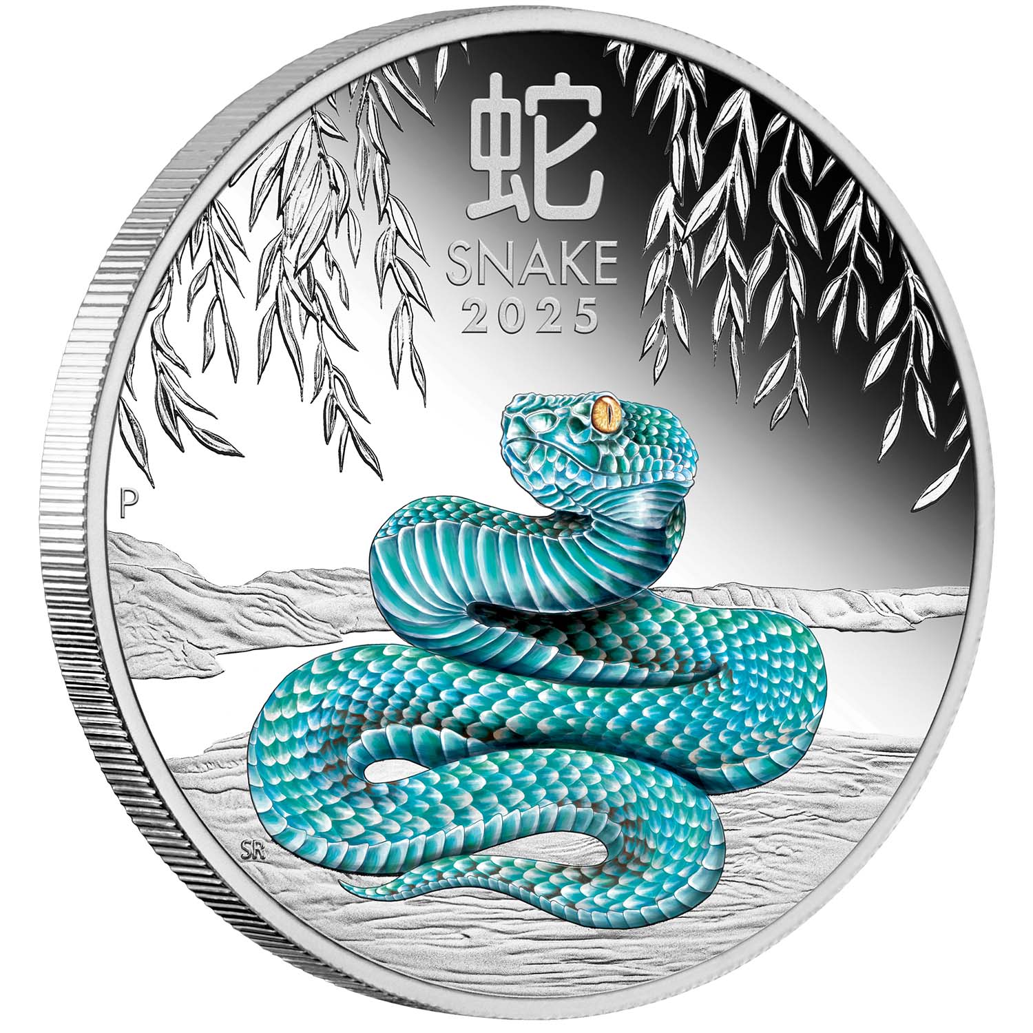 Australia Lunar Year of the Snake 2025 $1 1oz Silver 3-Coin Set - Image 5