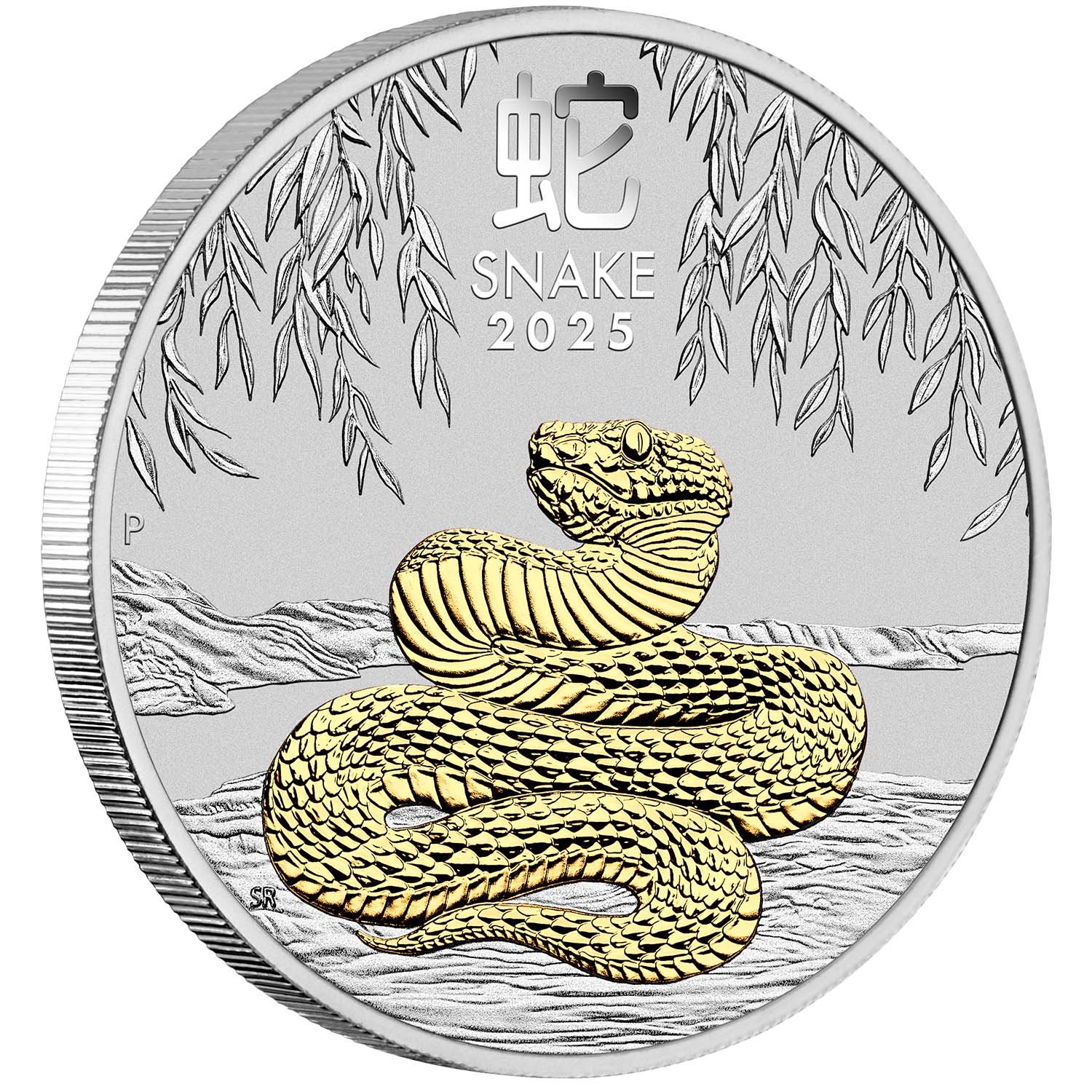Australia Lunar Year of the Snake 2025 $1 1oz Silver 3-Coin Set - Image 6