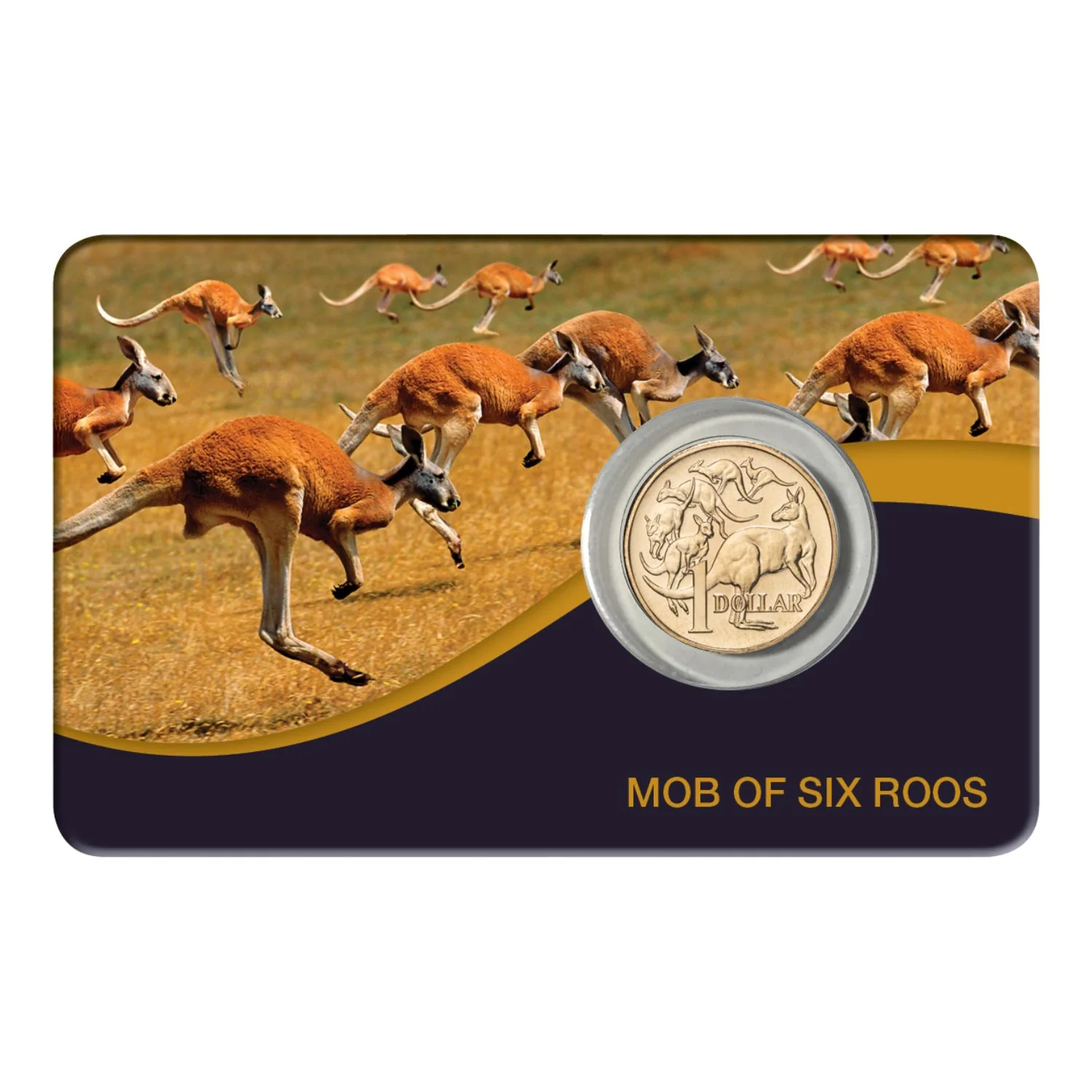 Australia Mob of Six Roos 2026 $1 Aluminium-Bronze Uncirculated Coin Pack