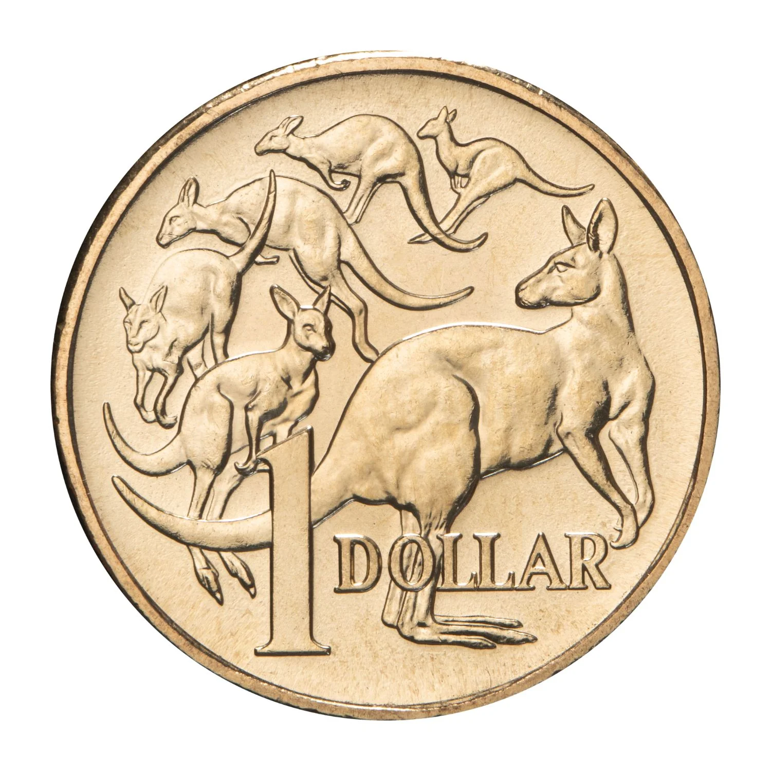 Australia Mob of Six Roos 2026 $1 Aluminium-Bronze Uncirculated Coin Pack - Image 3