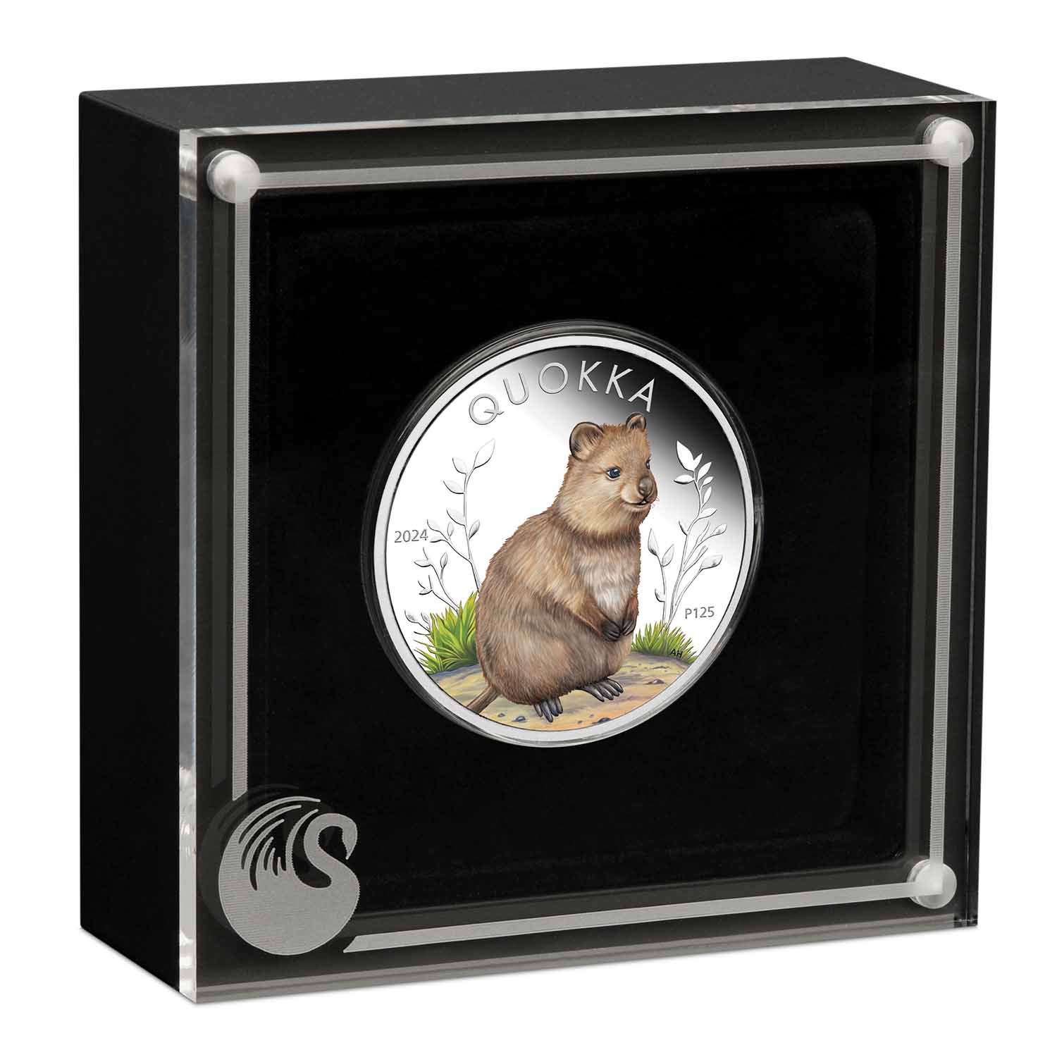 Australia Quokka 2024 $1 Colour 1oz Silver Proof Coin - Image 3