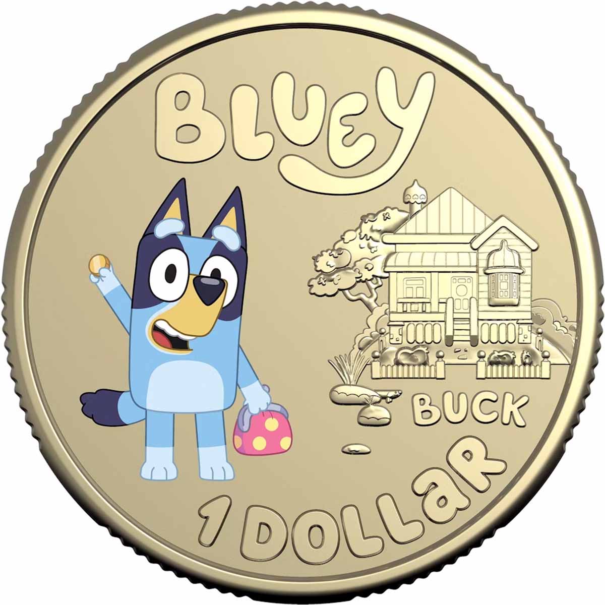 Australian Bluey Dollarbucks - Bluey 2024 $1 Al-Br Coloured Uncirculated Coin