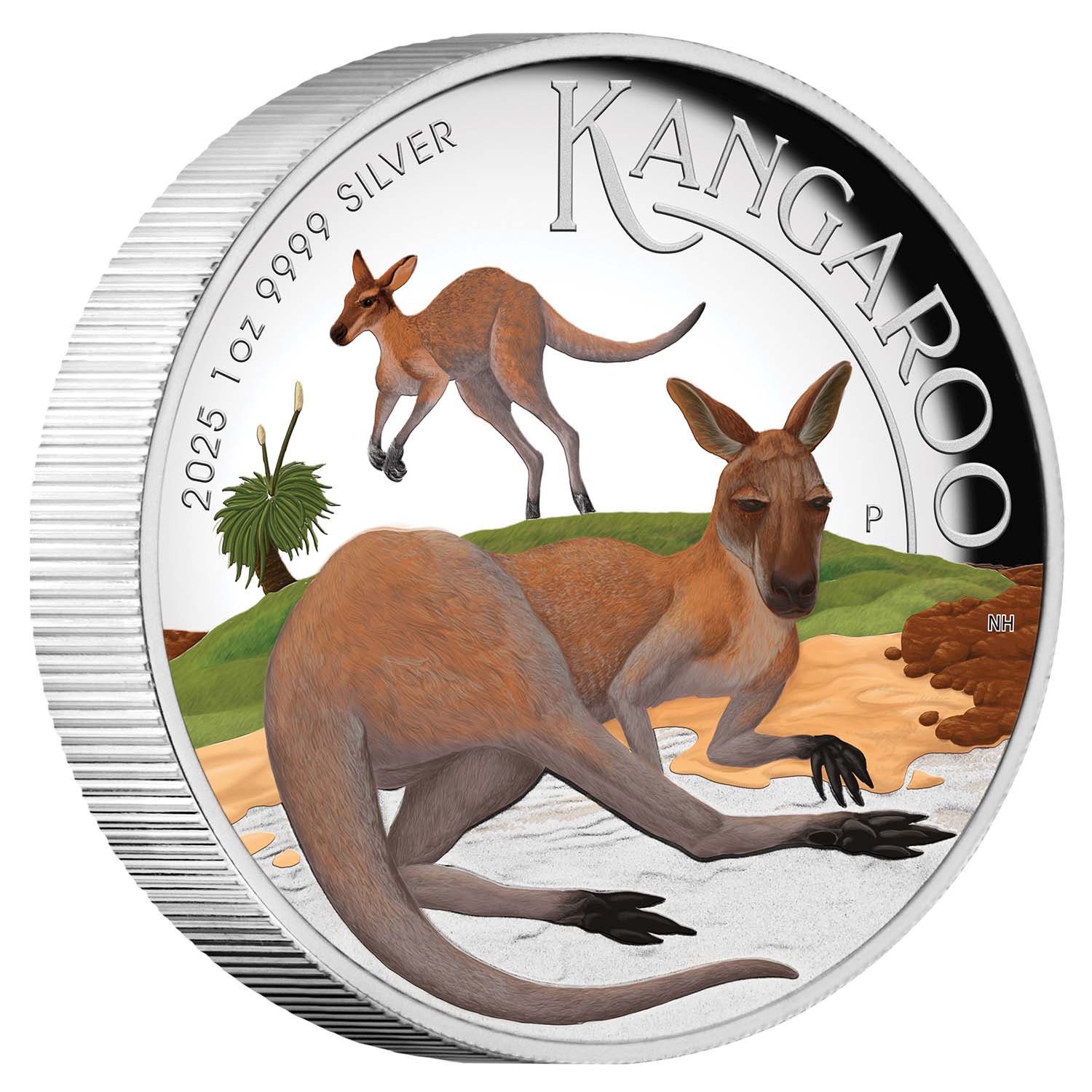 Australia Kangaroo 2025 $1 Colour High Relief 1oz Silver Proof Coin