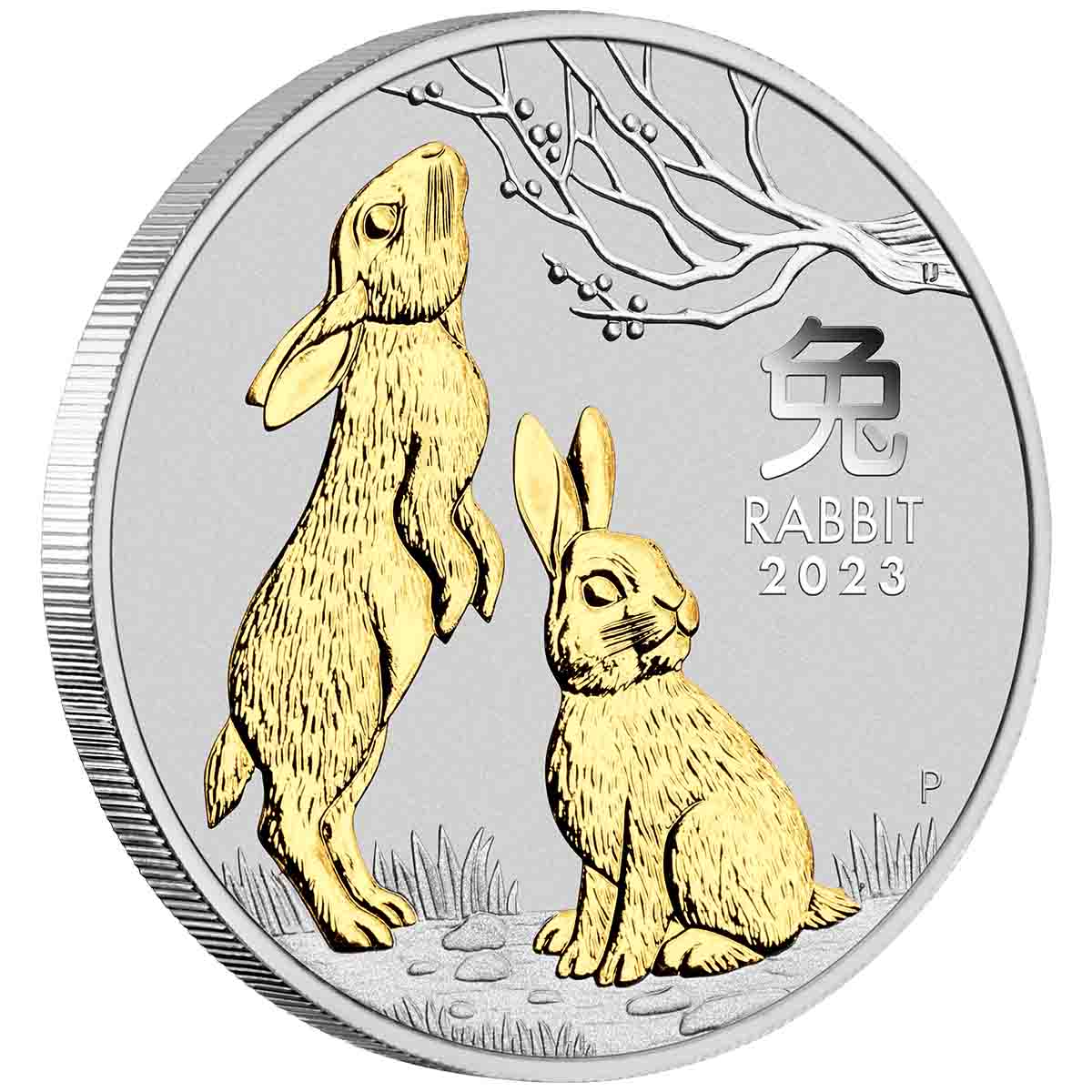 Australian Lunar Series III 2023 Year of the Rabbit 1oz Silver Gilded Coin