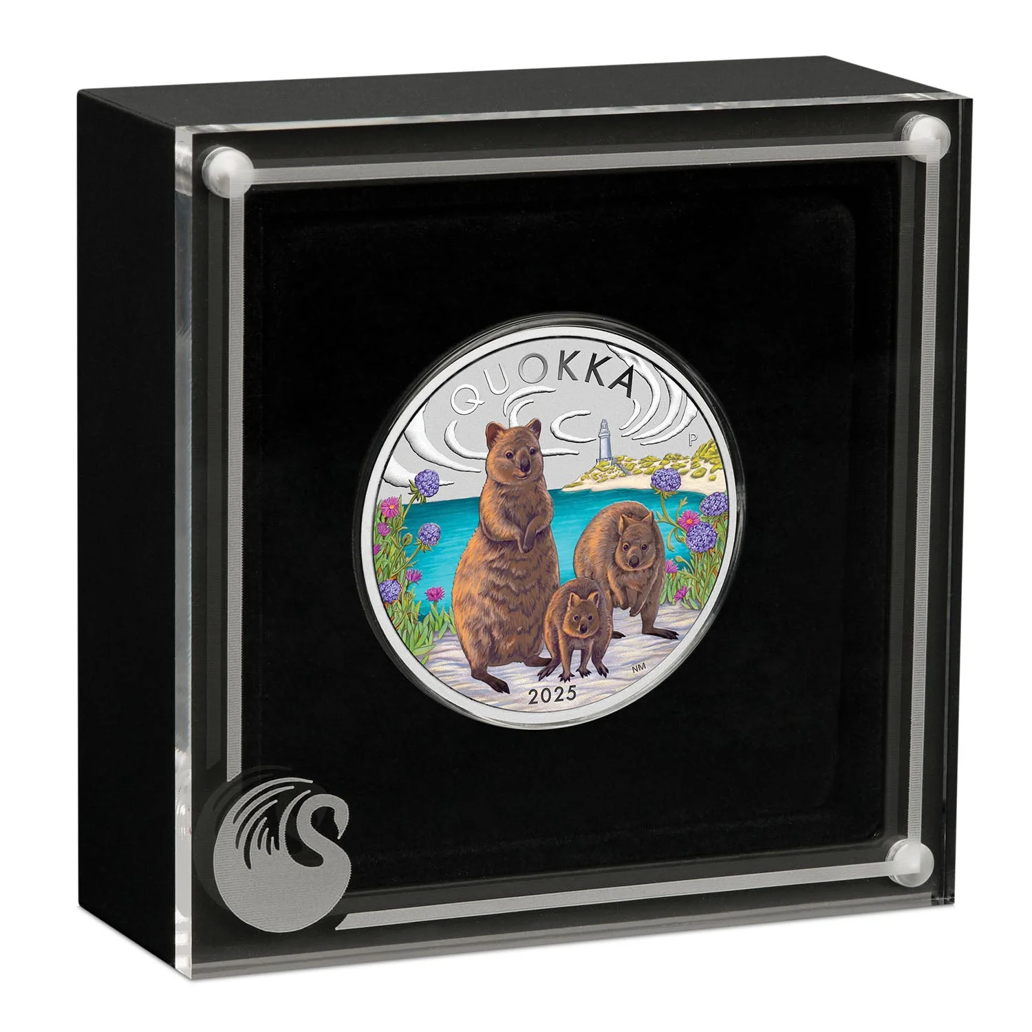 Australia Quokka 2025 $1 Colour 1oz Silver Uncirculated Coin - Image 3