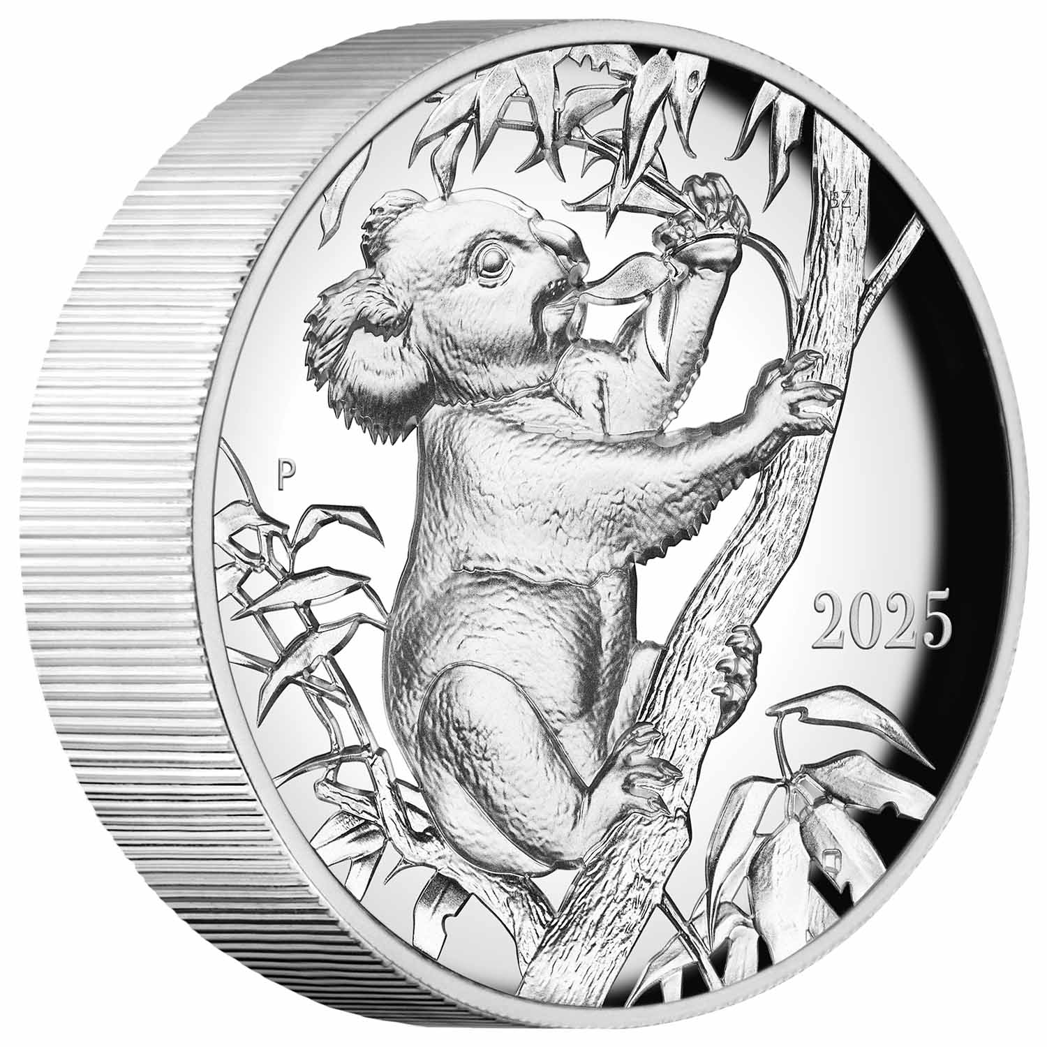 Australia Beth Zaiken Collection 2025 $10 Koala Ultra High Relief 10oz Silver Proof Coin
