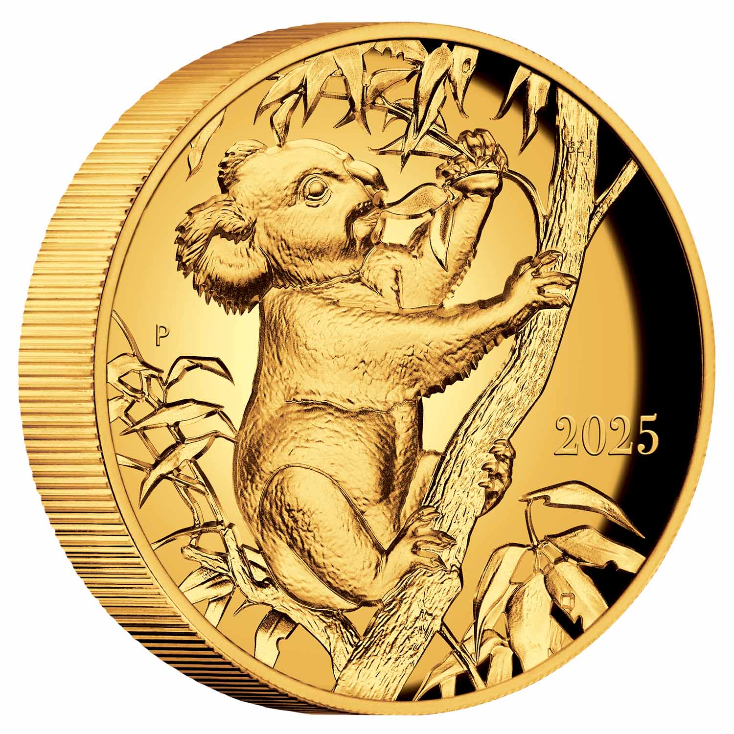 Australia Beth Zaiken Collection 2025 $100 Koala Ultra High Relief 1oz Gold Proof Coin