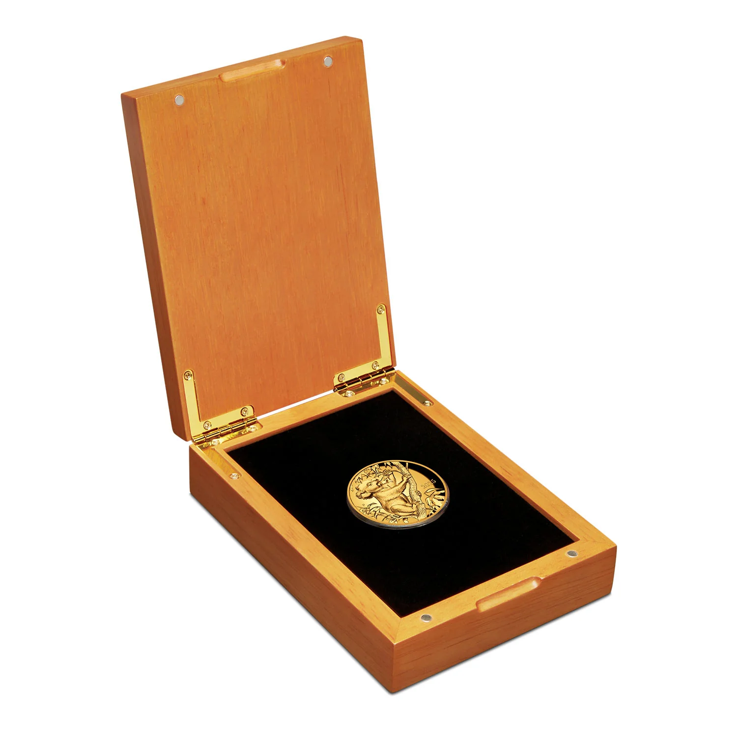 Australia Beth Zaiken Collection 2025 $100 Koala Ultra High Relief 1oz Gold Proof Coin - Image 3