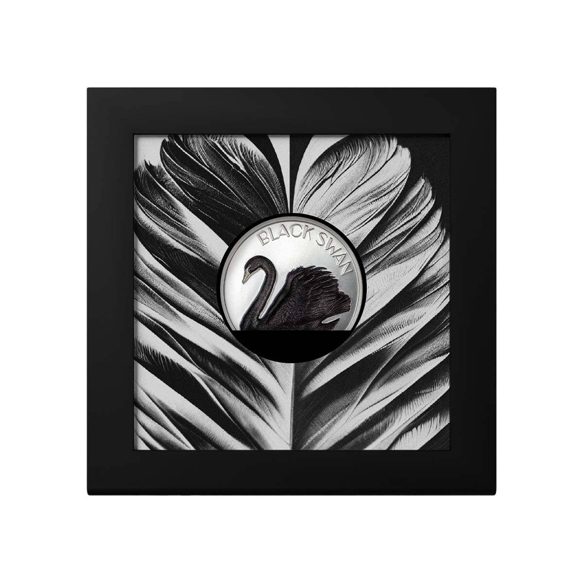 Black Swan 2023 $10 2oz Silver Black Proof Coin - Image 3