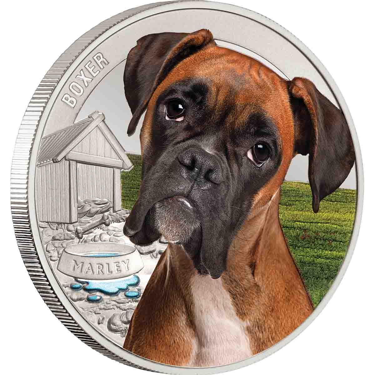 Boxer Silver-plated Prooflike Commemorative in Frame - Image 2