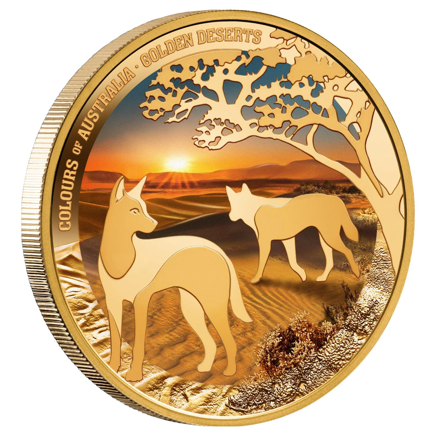 Colours of Australia 2026 $100 Golden Deserts 1oz Gold Proof Coin