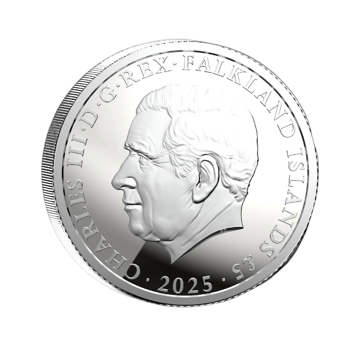 King Penguin 2025 £5 1oz Silver Proof Coin - Image 2