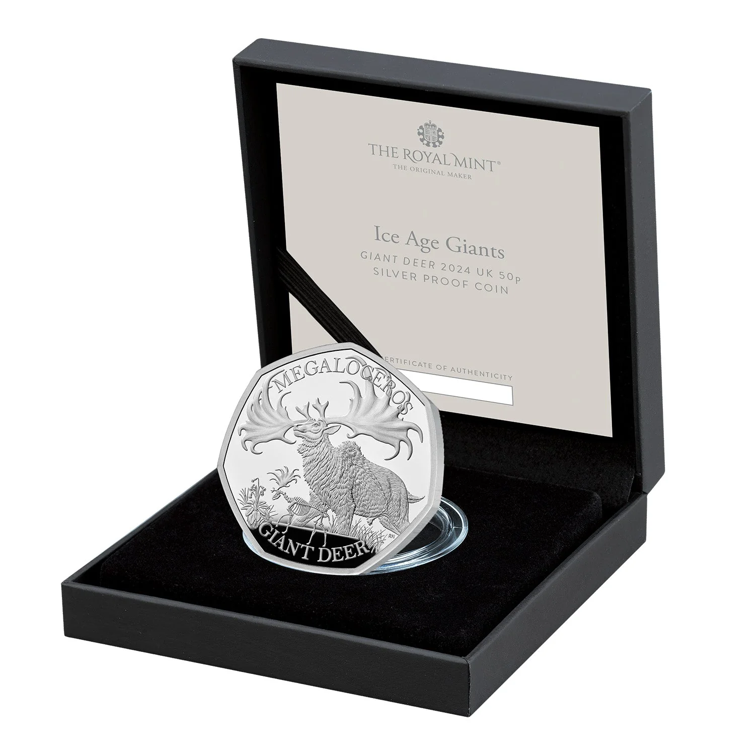 Great Britain Ice Age Giant Deer 2024 50p Silver Proof Coin - Image 3