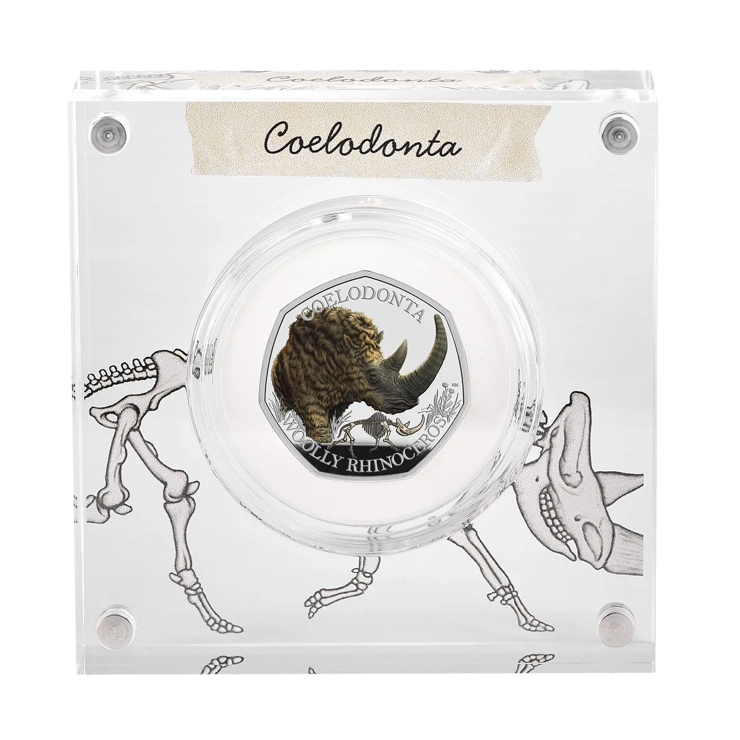 Great Britain Ice Age Woolly Rhinoceros 2024 50p Colour Silver Proof Coin - Image 3