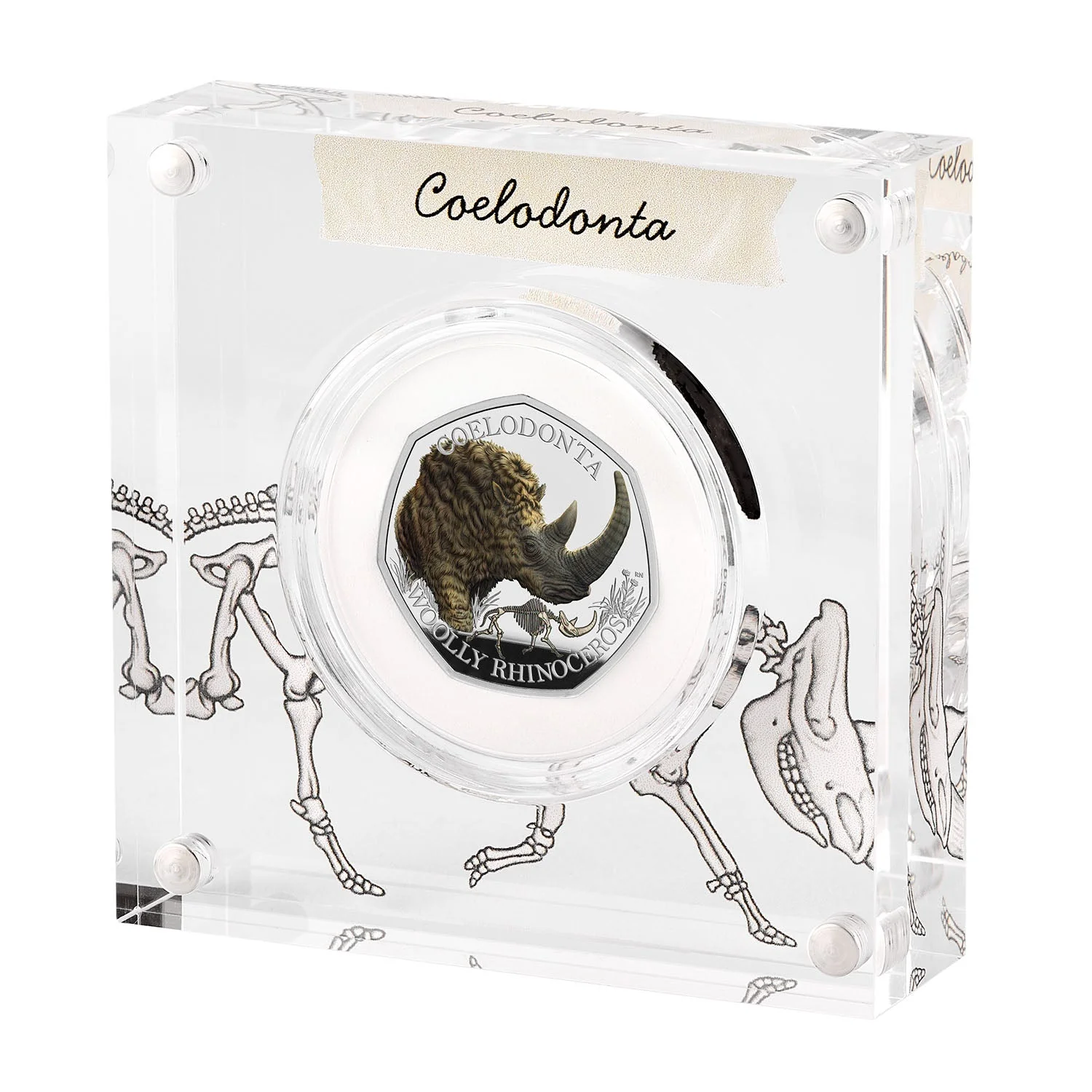 Great Britain Ice Age Woolly Rhinoceros 2024 50p Colour Silver Proof Coin - Image 4