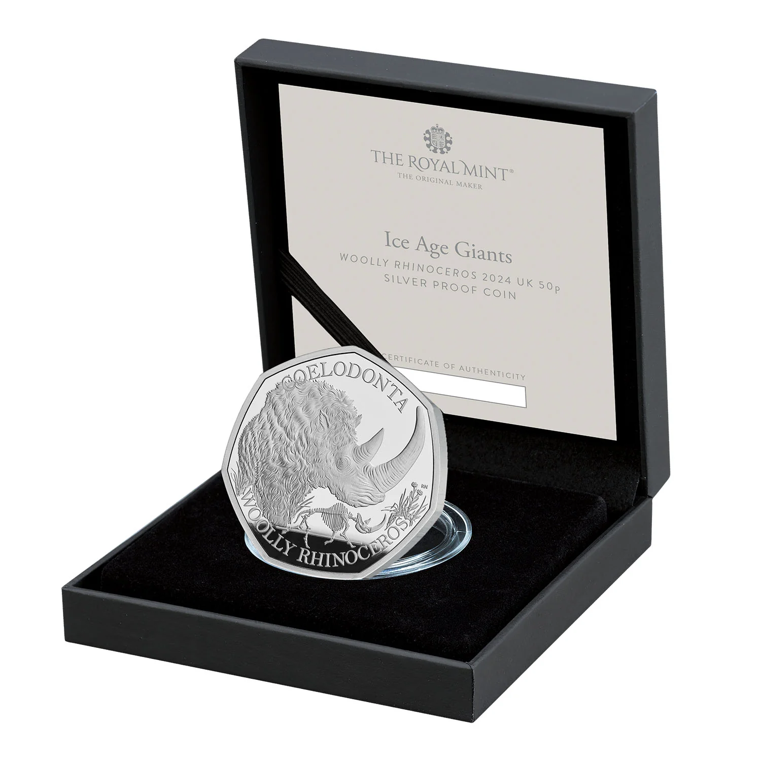 Great Britain Ice Age Woolly Rhinoceros 2024 50p Silver Proof Coin - Image 3