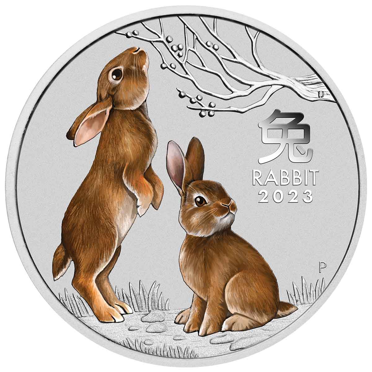 Sydney ANDA Money Expo 2023 25c Year of the Rabbit Colour Silver Brilliant Uncirculated Coin - Image 3