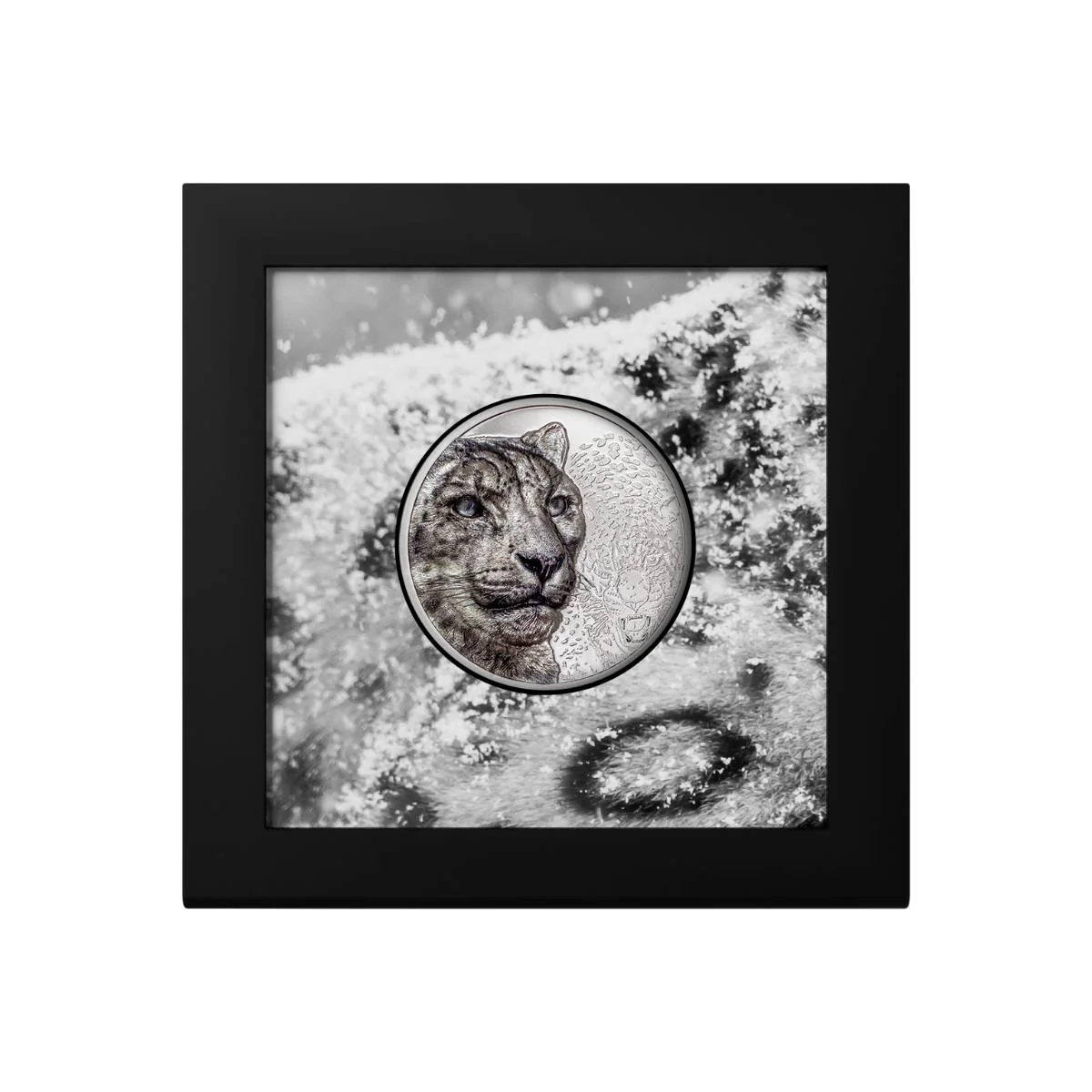 Wild Mongolia 2024 2,000T Snow Leopard Ultra High Relief 3oz Silver Proof Coin - Image 3