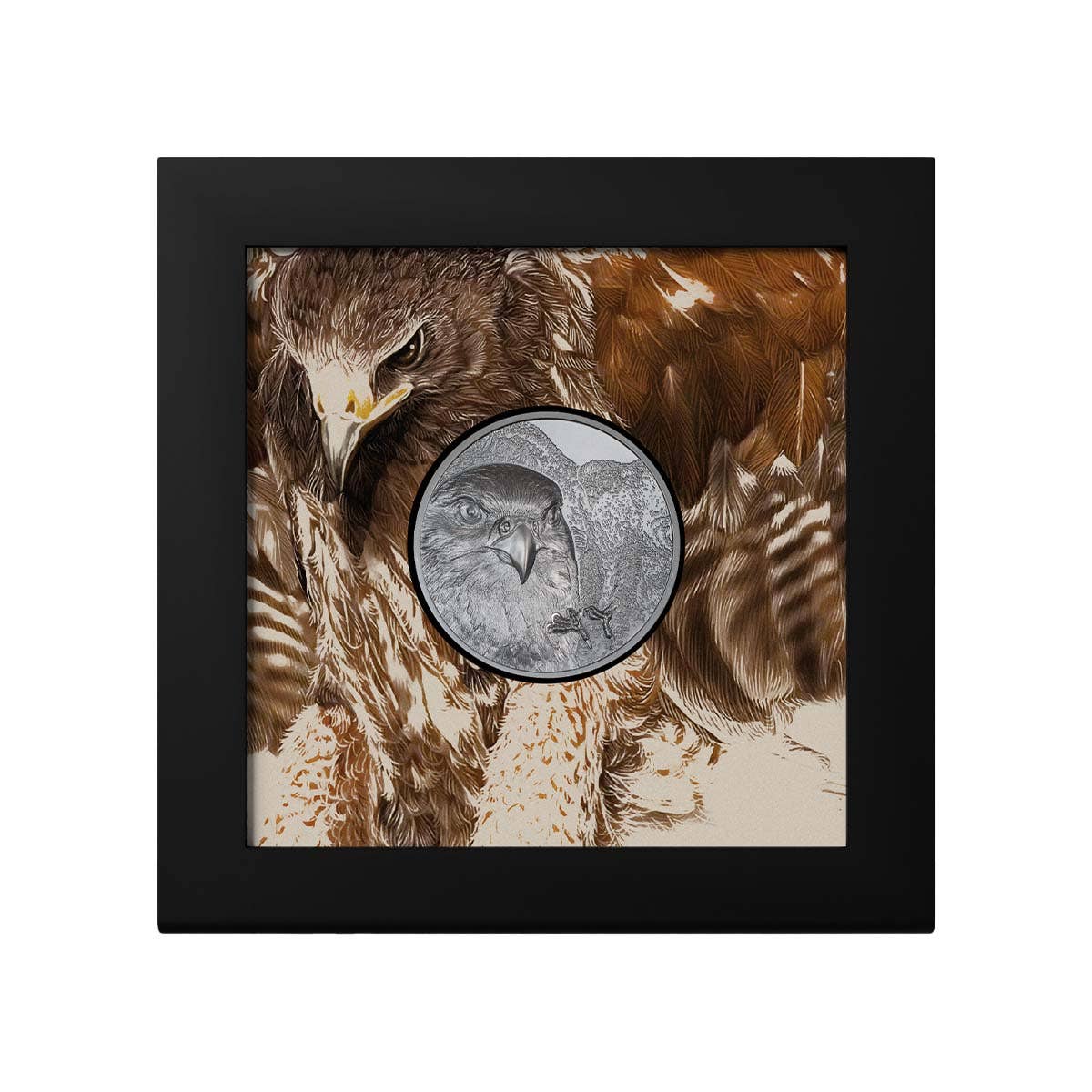Wild Mongolia 2023 1,000T Falcon Ultra High Relief 2oz Silver Black Proof Coin - Image 3