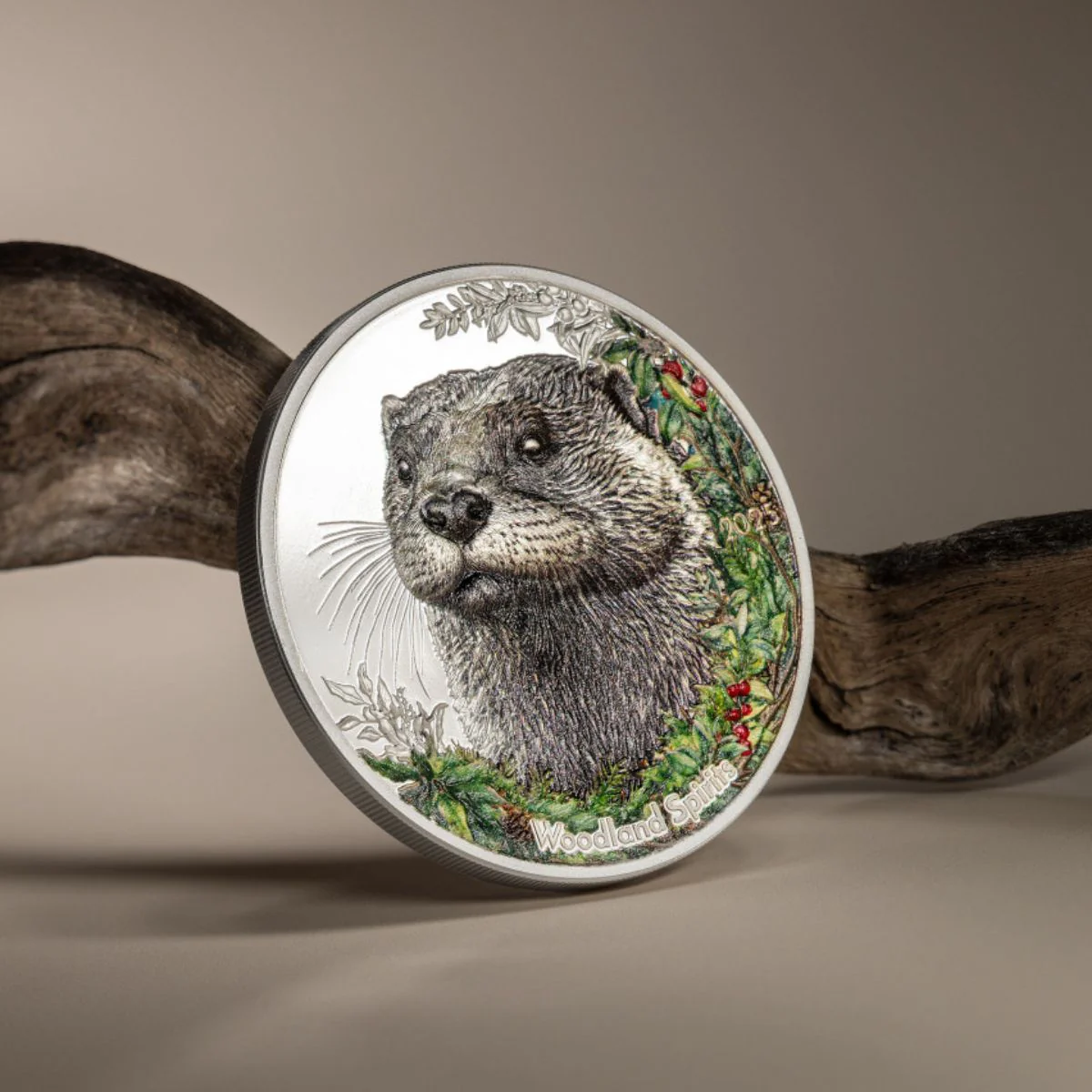 Woodland Spirits Otter 2025 500T 1oz Colour Silver Proof Coin - Image 4