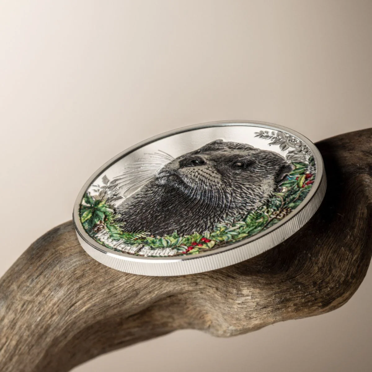 Woodland Spirits Otter 2025 500T 1oz Colour Silver Proof Coin - Image 5