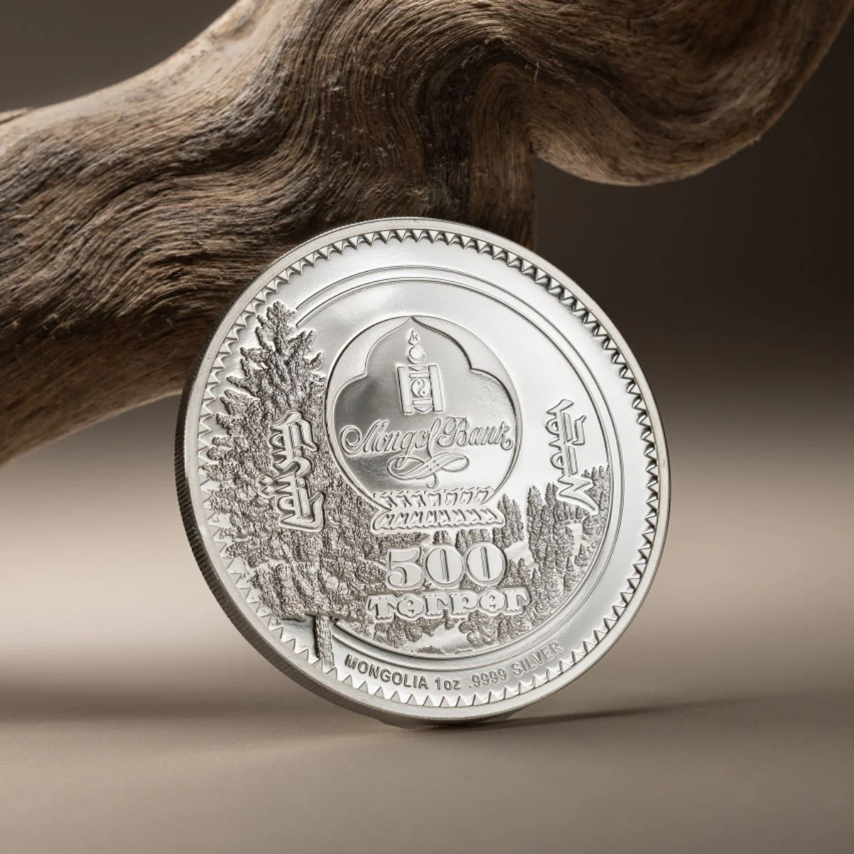 Woodland Spirits Otter 2025 500T 1oz Colour Silver Proof Coin - Image 6